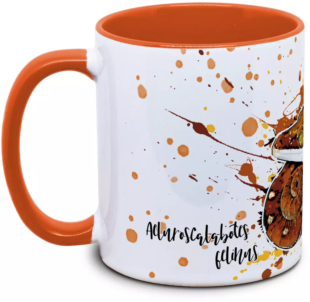Aeluroscalabotes felinus - Tassenkasper